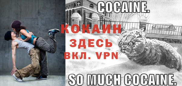 spice Алексин