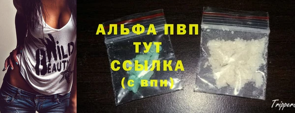 таблы Алзамай